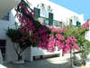 Apollon Hotel 